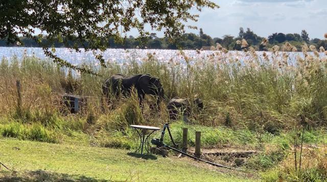 Big 5 Toro Lodge Kasane Eksteriør billede