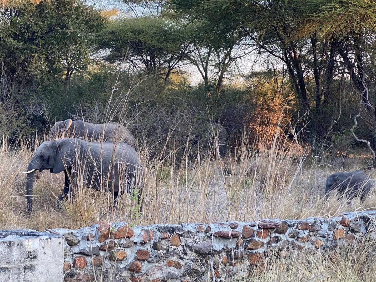 Big 5 Toro Lodge Kasane Eksteriør billede